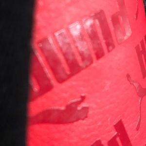 Meet your Posher, Morgan